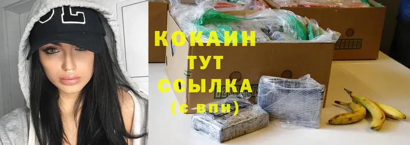 как найти   Николаевск  Cocaine 98% 